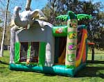 jungle bounce