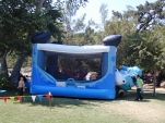 Cow Belly Bounce