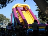 Giant Inflatable Slide